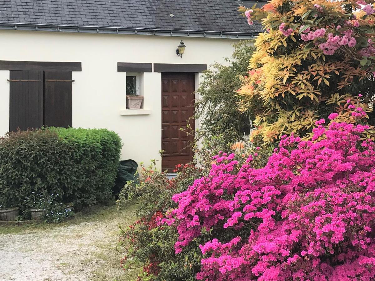 Ti Cairn Villa Moëlan-sur-Mer Dış mekan fotoğraf